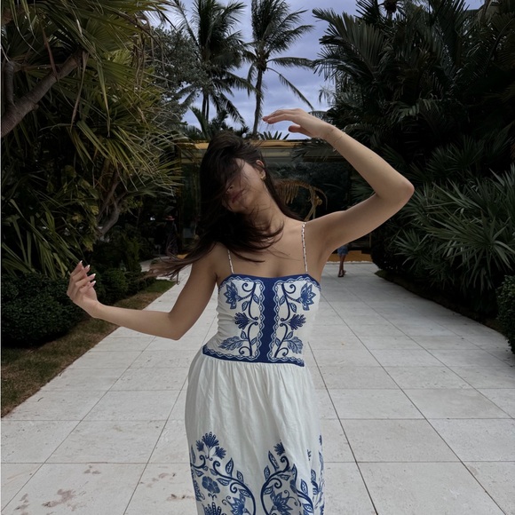 FARM Rio Dresses & Skirts - Cotton Elegant Blue and White Floral Dress